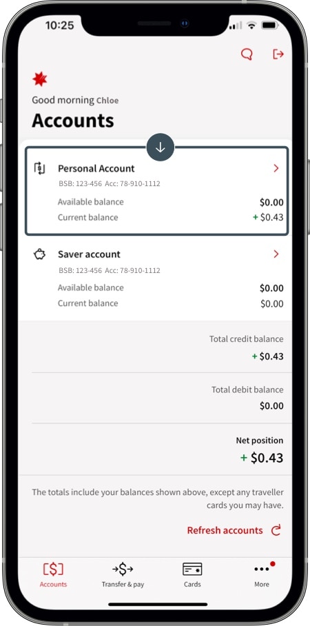 Download a recent transaction statement | Online banking guide - NAB